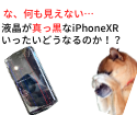 iPhoneXRの液晶の表示不良！鮮やかな縦線が…