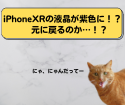 iPhoneXRの液晶が紫色に！？正常に映像を表示出来なくなってしまったiPhoneXRの修理依頼を頂きました！！